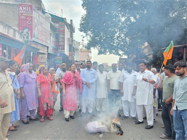 nimisha mehta protest against hooliganism and police injustice