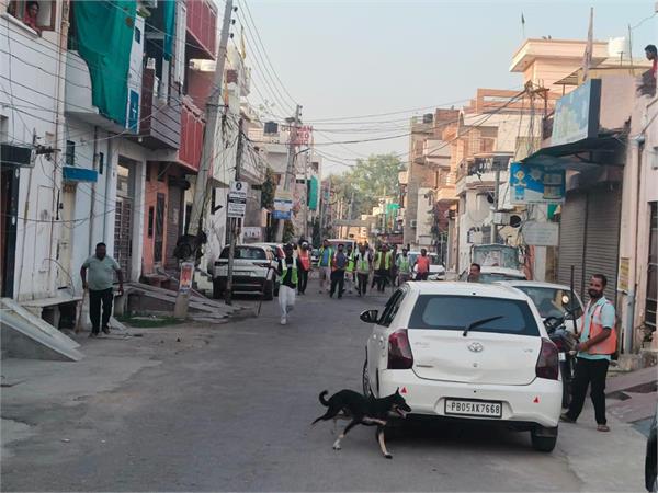 stray dog  child  attack