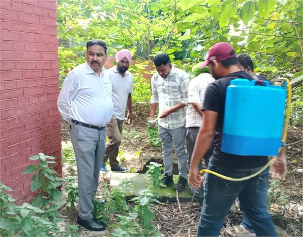 health department teams checking schools  hospitals to prevent dengue