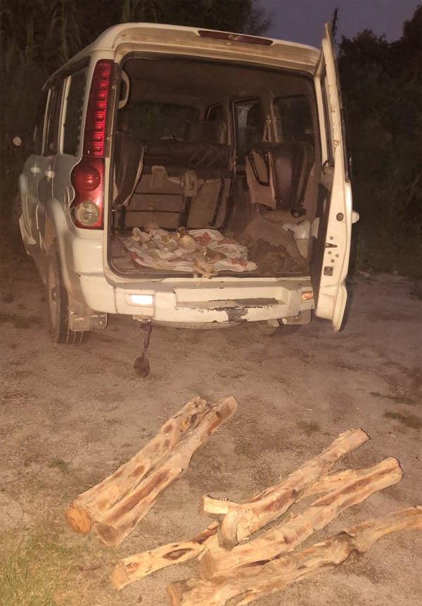 forest department team seizes khair wood during blockade  case registered