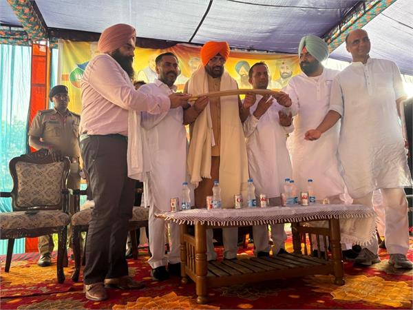 nayab saini in punjab