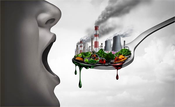 pollution impact on food