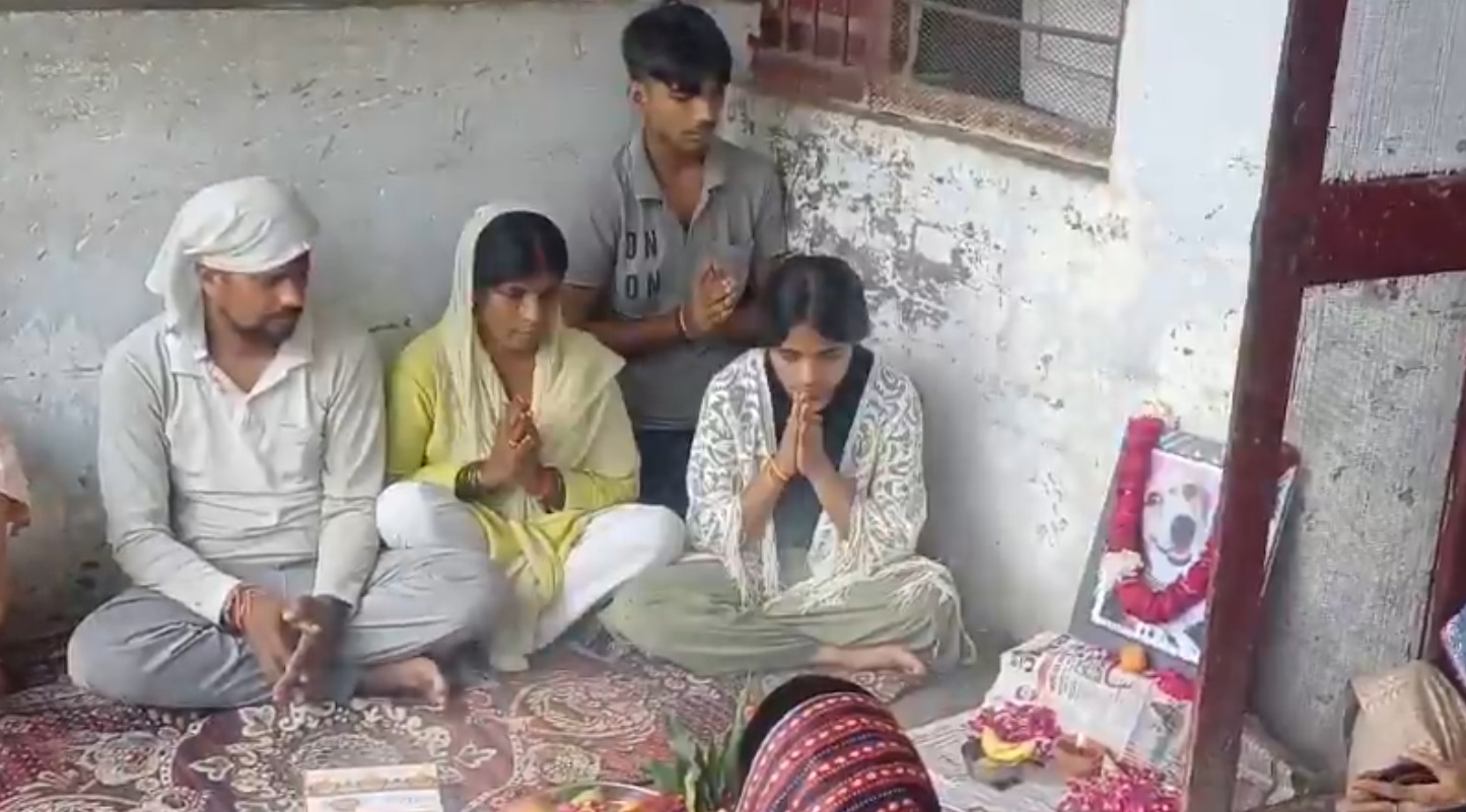 ਮੇਰਠ ’ਚ ਪਾਲਤੂ ਕੁੱਤੇ ਟੱਫੂ ਦੀ ਇਨਸਾਨਾਂ ਵਾਂਗ ਤੇਰ੍ਹਵੀਂ, ਪਸੰਦ ਦੇ ਬੂੰਦੀ ਦੇ ਲੱਡੂ ਵੀ ਬਣਵਾਏ