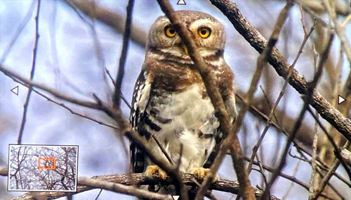 PunjabKesari